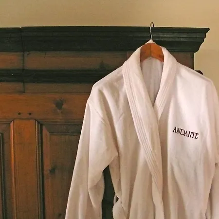 מלון Andante Mit Minikueche 3*